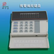 獅子王報(bào)警器編