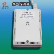 燃?xì)馓綔y(cè)器